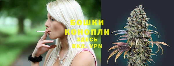 Альфа ПВП Белокуриха