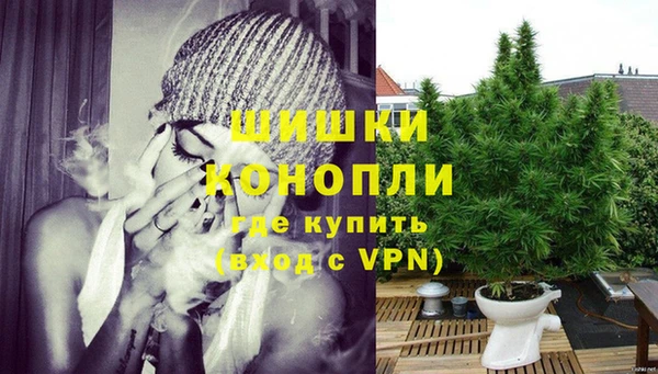 Альфа ПВП Белокуриха