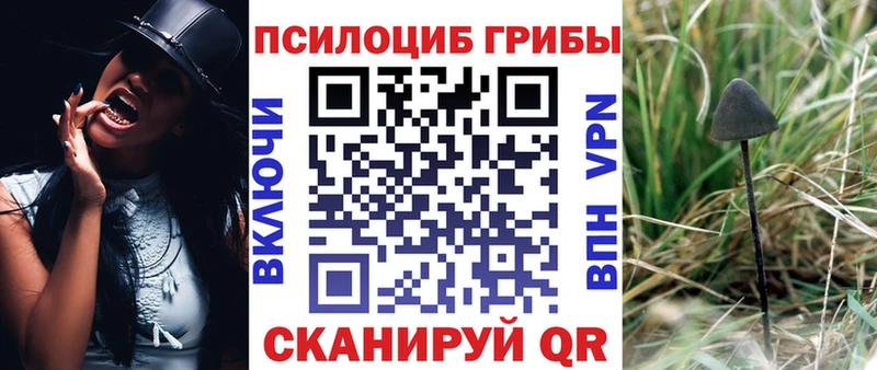 Псилоцибиновые грибы мицелий  Шумерля 