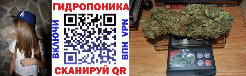 Канабис Amnesia  Шумерля 